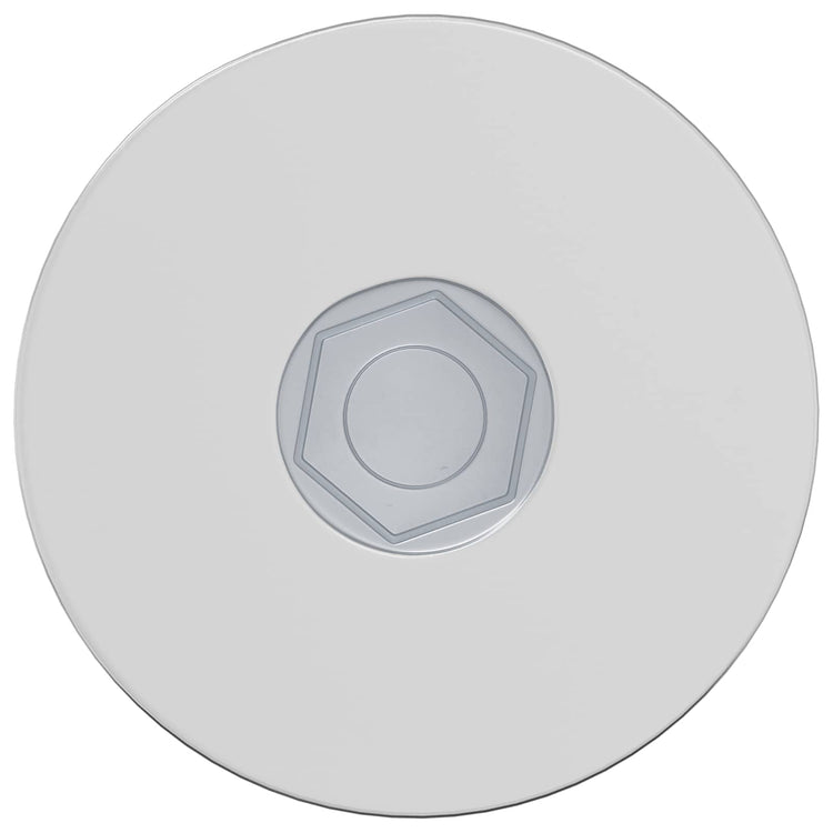 Vidaxl bout 12 st verzinkt 5 x 40 mm ijzer
