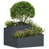 Vidaxl tuin bloempot antraciet 60 x 60 x 50 cm koudgewalst staal