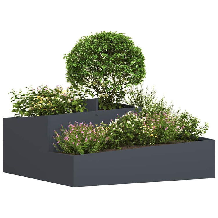 Vidaxl plantenbak antraciet 100 x 100 x 50 cm koudgewalst staal