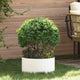 Vidaxl plantenring 5 st wit 40 x 40 x 20 cm koudgewalst staal