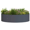 Vidaxl plantenring antraciet 80 x 80 x 20 cm koudgewalst staal