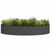 Vidaxl plantenring zwart 120 x 120 x 20 cm koudgewalst staal