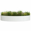 Vidaxl plantenring wit 120 x 120 x 20 cm koudgewalst staal