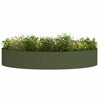 Vidaxl plantenring olijf groen 120 x 120 x 20 cm koudgewalst staal