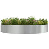 Vidaxl plantenring zilver 120 x 120 x 20 cm gegalvaniseerd staal