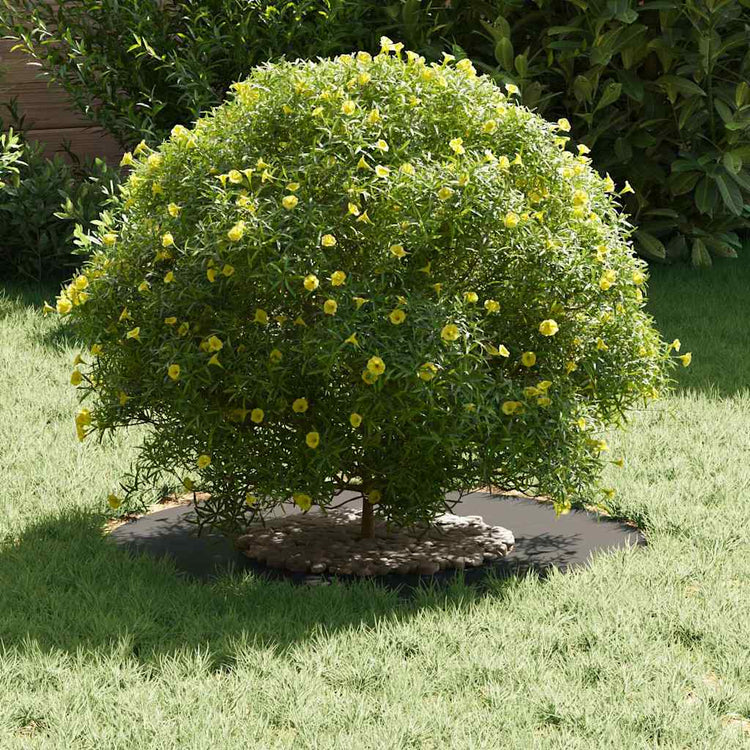 Vidaxl geschikt voor platte boomringen 5 pcs zwart ø30 60 cm staal