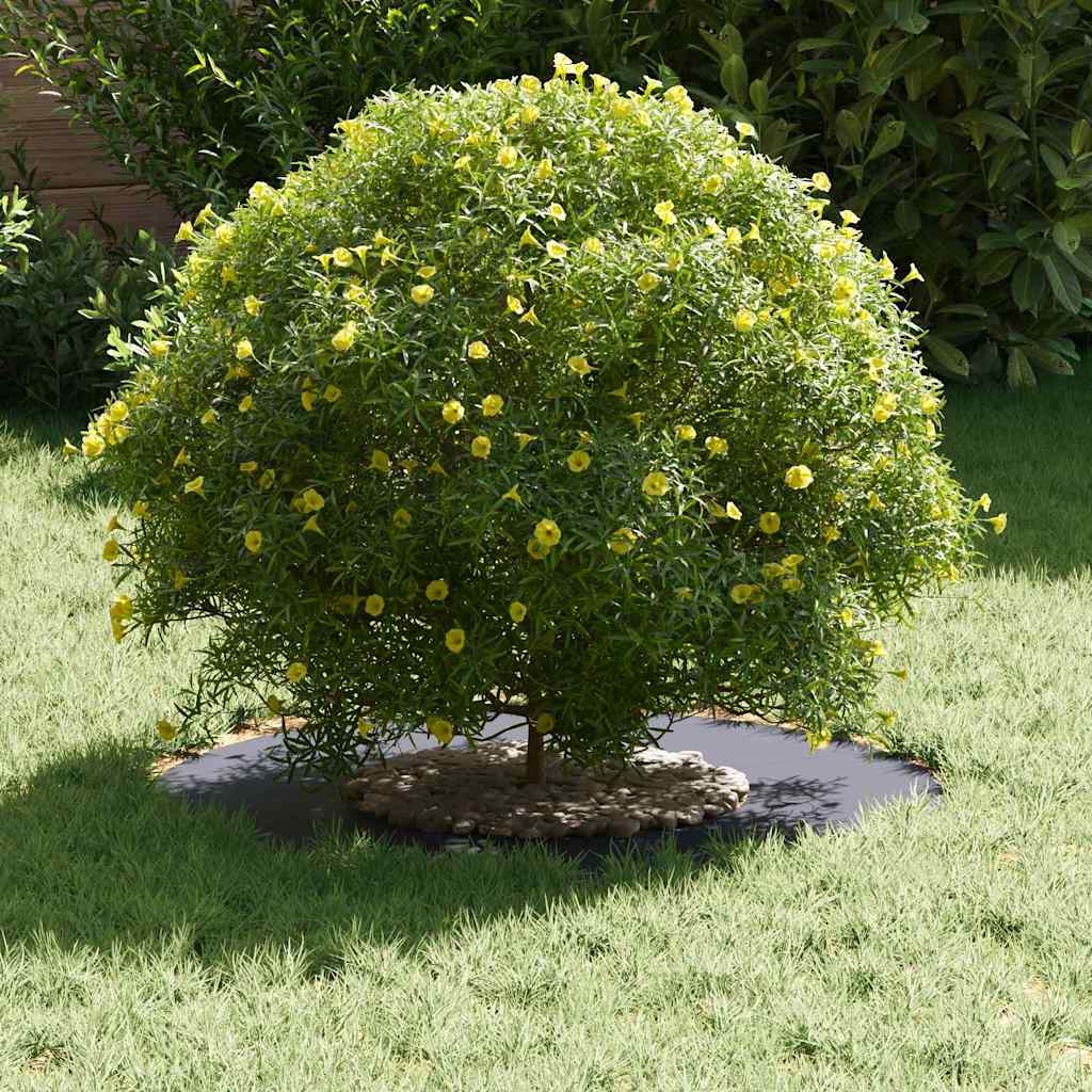 Vidaxl geschikt voor platte boomringen 5 pcs antraciet ø30 60 cm staal