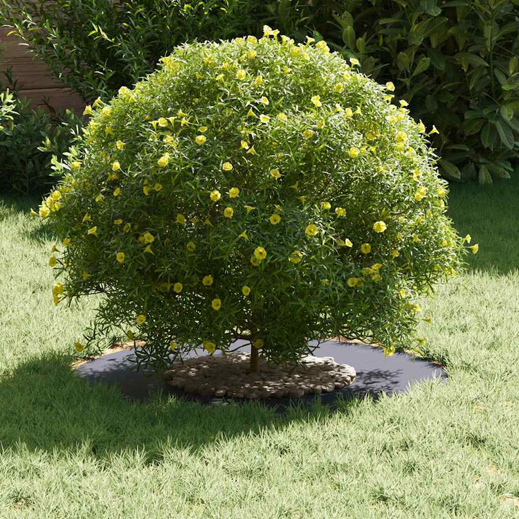 Vidaxl geschikt voor platte boomringen 5 pcs antraciet ø30 60 cm staal