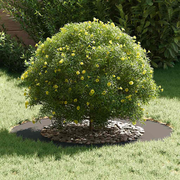 Vidaxl geschikt voor platte boomringen 5 pcs zwart ø50 80 cm staal