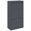 Vidaxl pakket inwerp box met opslag antraciet 44 x 22 x 82 cm staal