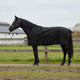Vidaxl paardendeken volledig zwart 105 cm polyester