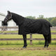 Vidaxl paardendeken volledig zwart 145 cm polyester