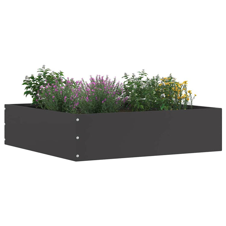 Vidaxl gazonrand 6 st 50 x 50 x 13 cm staal zwart