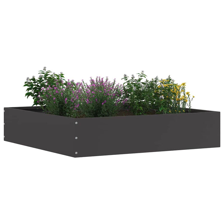 Vidaxl gazonrand 60 x 60 x 13 cm staal zwart
