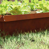 Vidaxl slakkenhekje roestig 100 x 3,5 x 25 cm cortenstaal