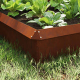 Vidaxl slakkenhekken 8 st 100 x 3,5 x 25 cm weervast staal roestig - afbeelding 3