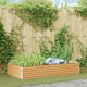 Vidaxl verhoogde plantenbak licht bruin 195 x 100 x 36 cm