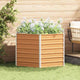 Vidaxl verhoogd tuinbed licht bruin 129 x 129 x 77 cm