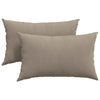 Vidaxl sofa kussens 2 stuks taupe 50 x 30 cm stof