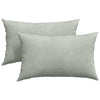 Vidaxl sofa kussens 2 stuks lichtgrijs 50 x 30 cm cordstof