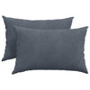 Vidaxl sofa kussens 2 stuks donkergrijs 60 x 40 cm cordstof