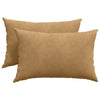Vidaxl sofa kussens 2 stuks bruin 60 x 40 cm cordstof