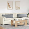 Vidaxl sofa kussens 2 pcs lichtgrijs 120 x 40 cm stof