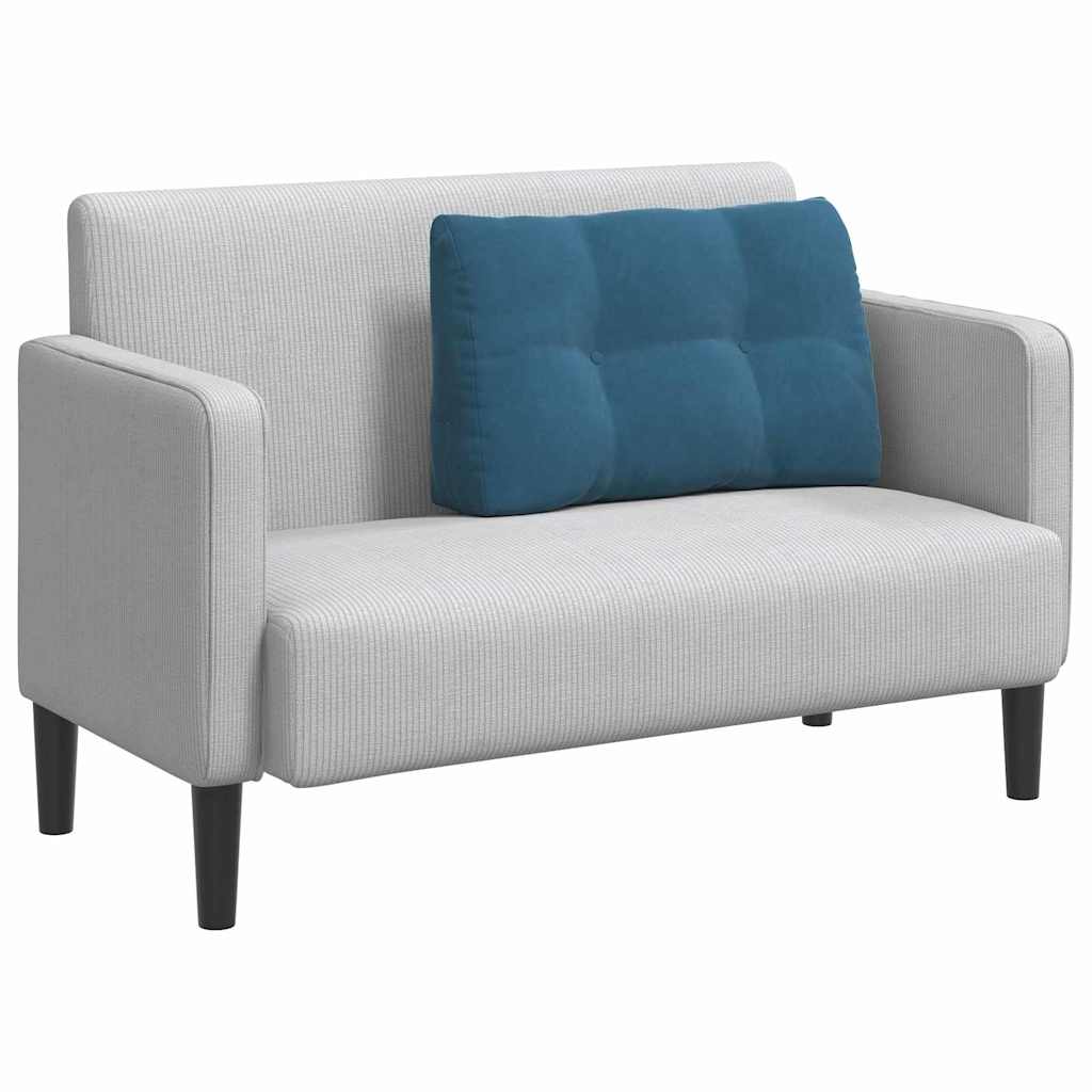 Vidaxl rugkussen blauw 80 x 24 x 50 cm fluweel