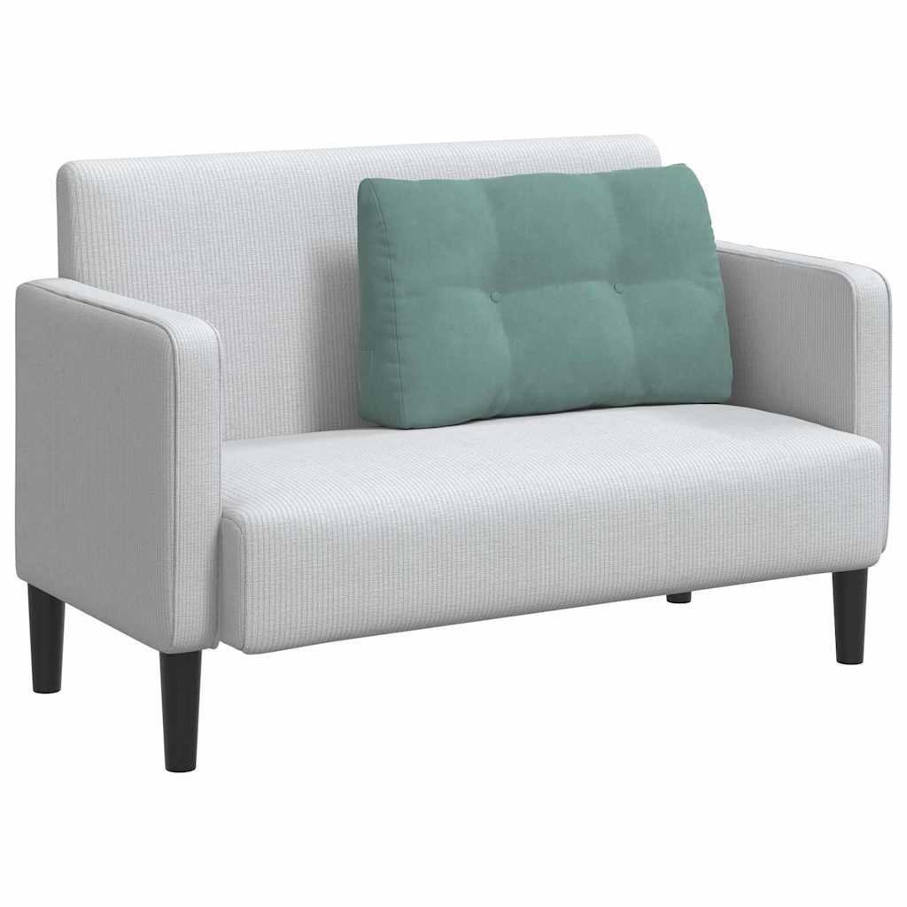 Vidaxl rugkussen zeegroen 80 x 24 x 50 cm fluweel