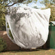 Vidaxl vorstbescherming plantenfleece covers 3 st wit 3 x 3,93 m