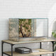 Vidaxl terrarium met opslag transparant 60 x 40 x 40 cm glas