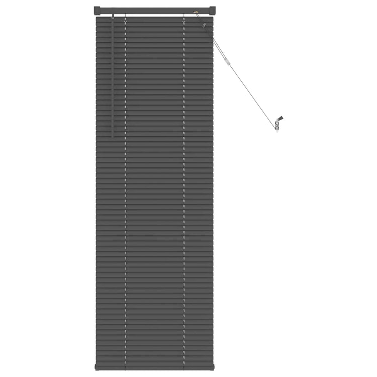 Vidaxl venetiaanse jaloezie zilvergrijs 150 x 50 cm 25 mm pvc