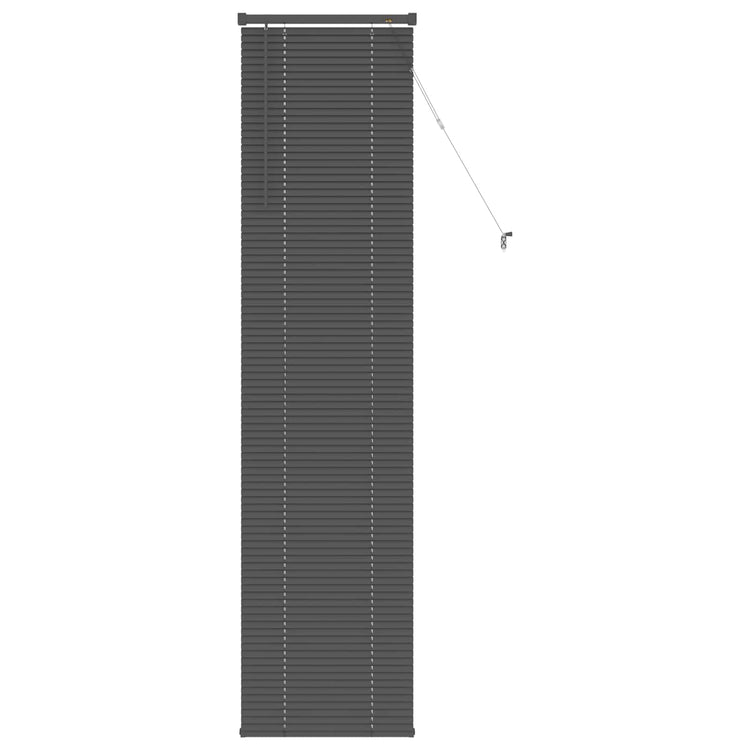 Vidaxl venetiaanse jaloezie zilvergrijs 213 x 50 cm 25 mm pvc