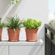 Vidaxl ronde bloempot 6 st baksteenrood ø 19 x 16,5 cm kunststof