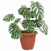 Vidaxl ronde bloempot 6 st baksteenrood ø 26 x 21.5 cm kunststof - afbeelding 3