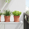 Vidaxl ronde bloemenschalen 24 pcs baksteenrood ø 14 x 2 cm kunststof