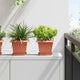 Vidaxl vierkante bloempot 6 st baksteenrood 20 x 20 x 16 cm kunststof