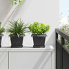 Vidaxl vierkante bloempot 6 pcs zwart 20 x 20 x 16 cm kunststof