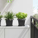 Vidaxl vierkante bloempot 6 st zwart 20 x 20 x 16 cm kunststof