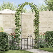 Vidaxl tuin boog zwart 102 x 50 x 218 cm staal - afbeelding 1