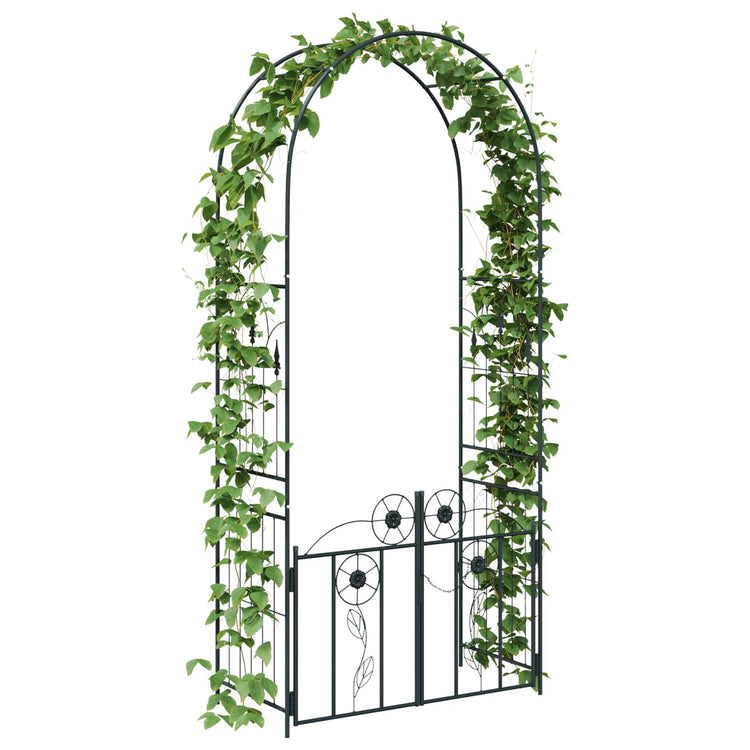 Vidaxl tuin boog met slot zwart 102 x 50 x 218 cm