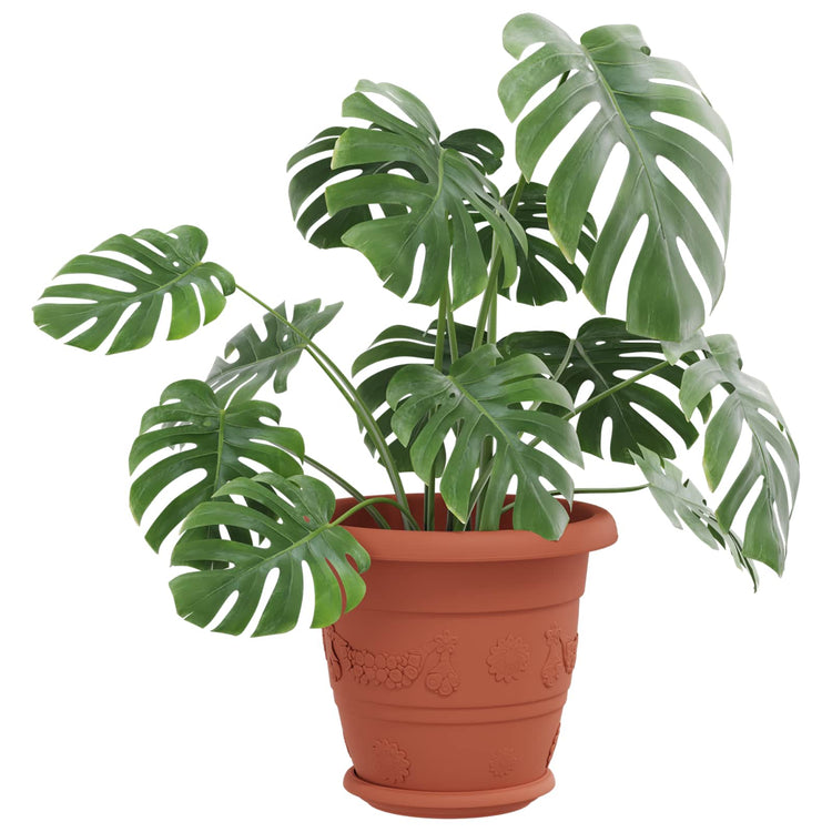 Vidaxl plantenpotten 24 st baksteenrood ø 22 x 18 cm kunststof