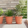 Vidaxl plantenpotten 24 pcs baksteenrood ø 26 x 21.5 cm kunststof