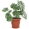 Vidaxl plantenpotten 24 pcs baksteenrood ø 26 x 21.5 cm kunststof