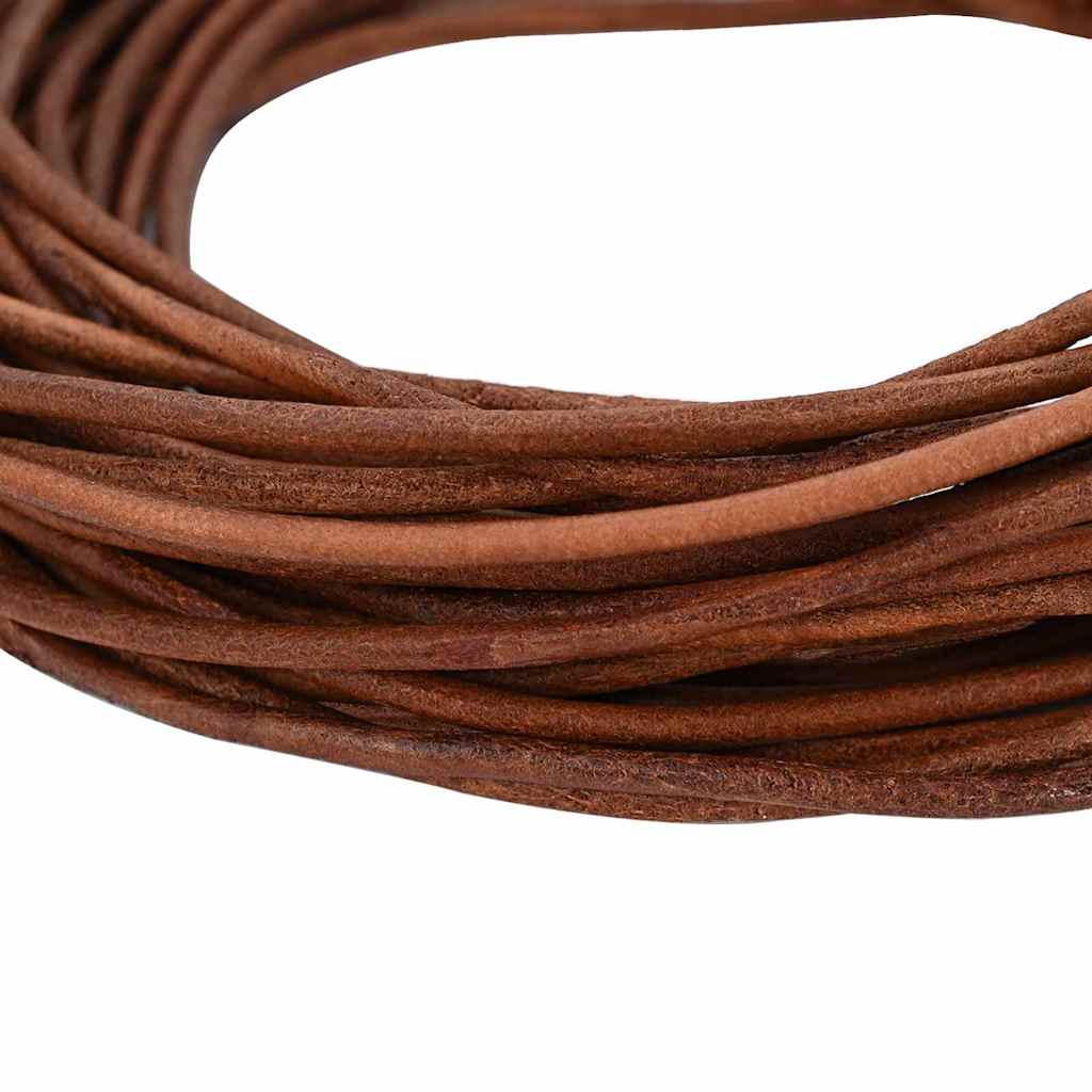 Vidaxl leren koord licht bruin ø3 mm x 10 m leer