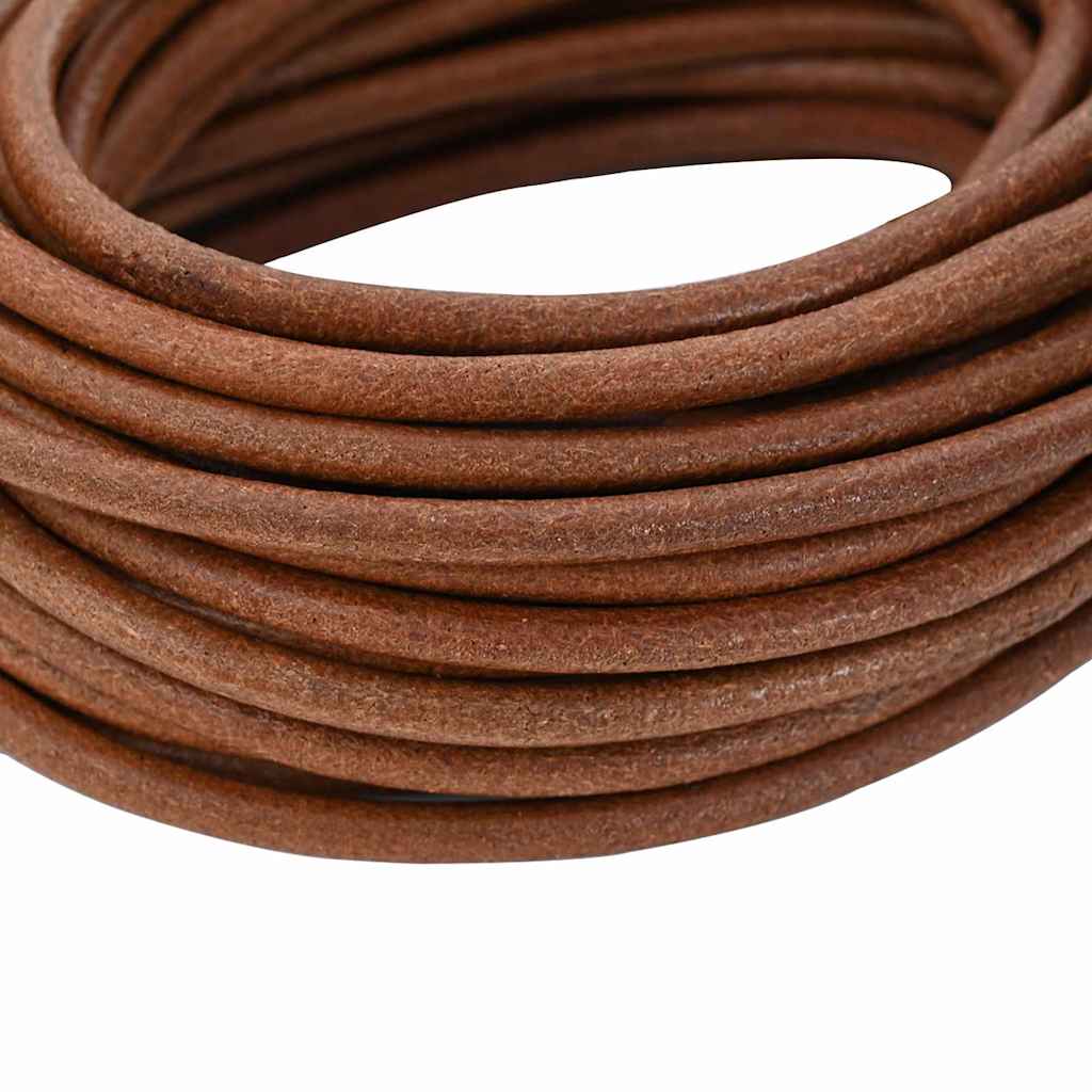 Vidaxl leren koord licht bruin ø4 mm x 5 m leer