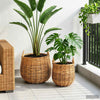 Vidaxl plantermand met opslag 2 pcs bruin lacak riet