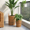 Vidaxl plantmand met opslag 2 pcs bruin kubu rattan