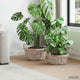 Vidaxl plantenmand met opslag gendt 2 st natuurlijk grijs kubu rattan