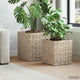 Vidaxl plantenmand met opslag gendt 2 st natuurlijk grijs kubu rattan